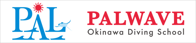 Palwave